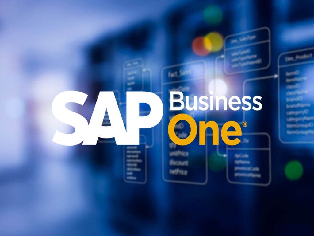 SAP B1 Implementation